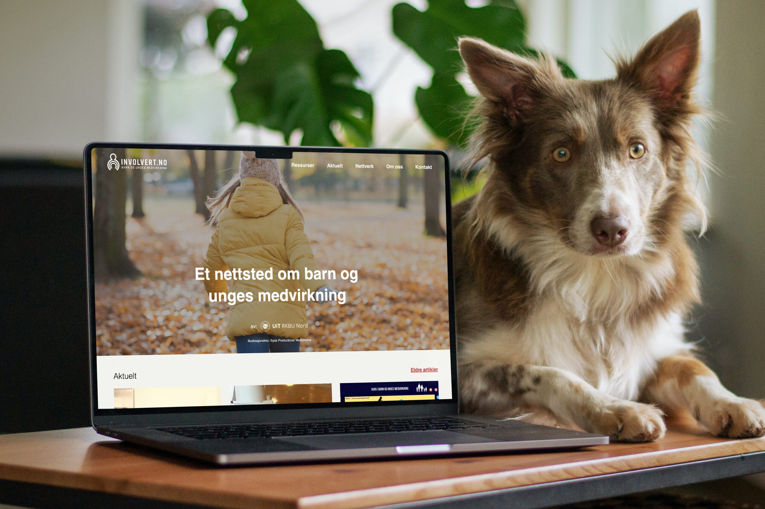 Mockup av nettsiden på en laptop